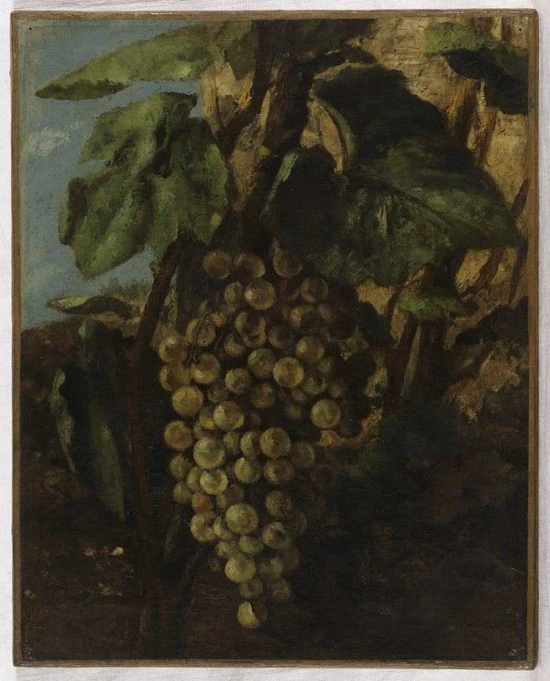 Uva da grappolo - Gustave Courbet