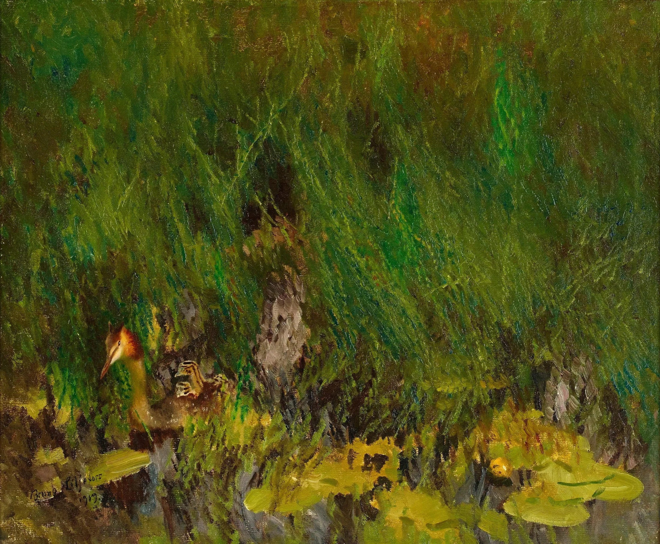 Svasso maggiore - Bruno Liljefors