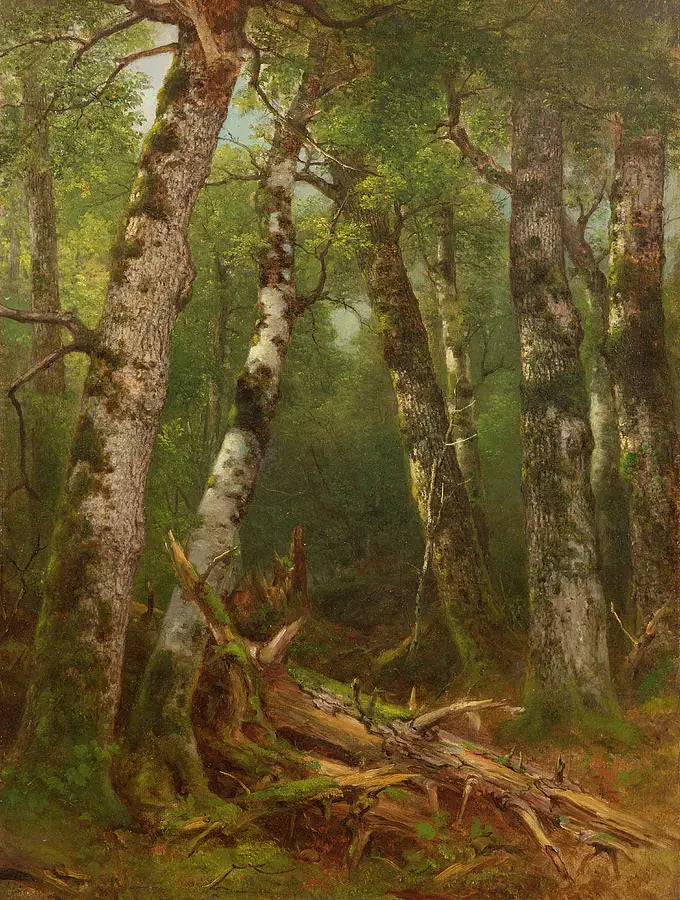 Gruppo di alberi - Asher Brown Durand