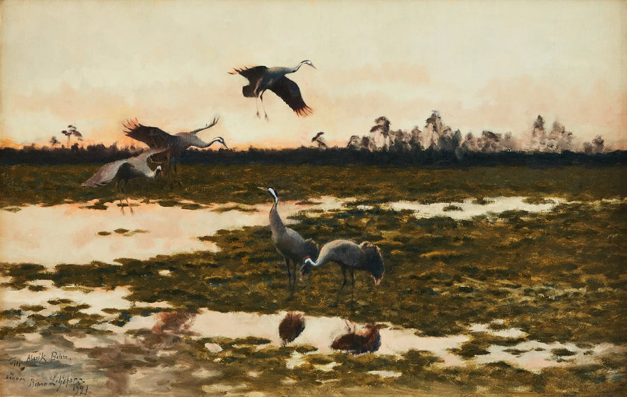 Gru al crepuscolo - Bruno Liljefors