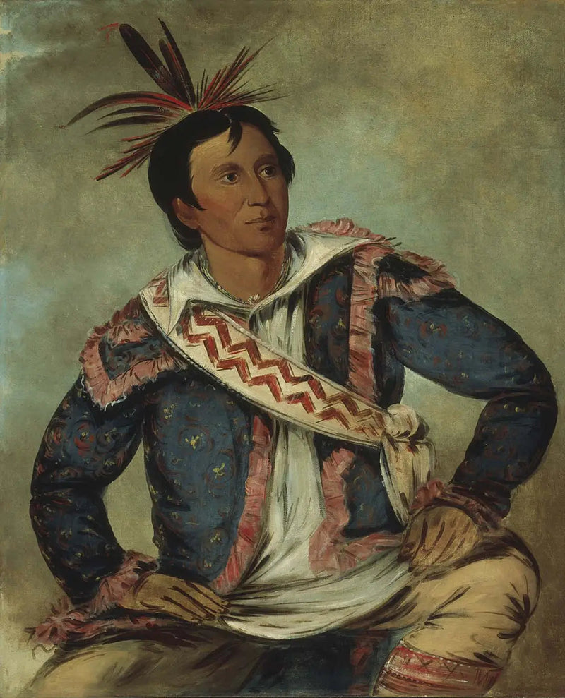 Há-tchoo-túc-knee, tartaruga serpentina, une métisse - George Catlin