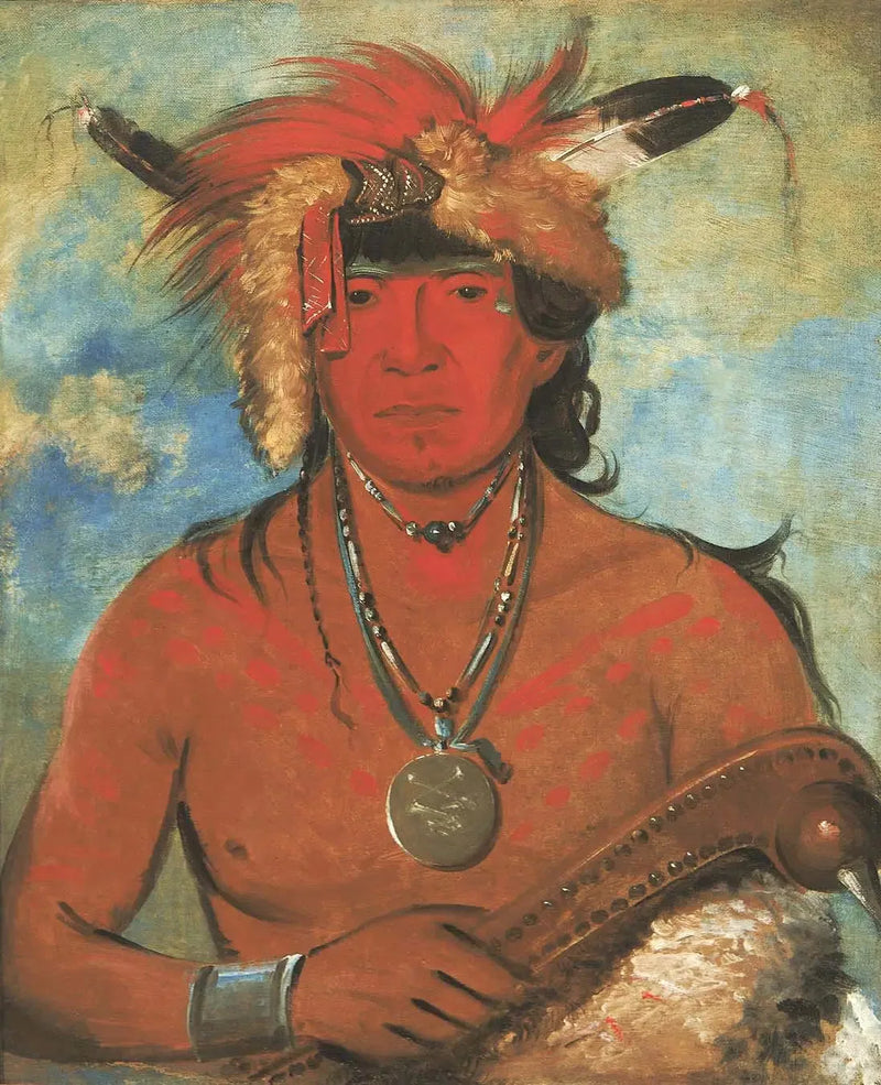 Háh-je-day-ah'-shee, Incontro con gli uccelli, un valoroso - George Catlin