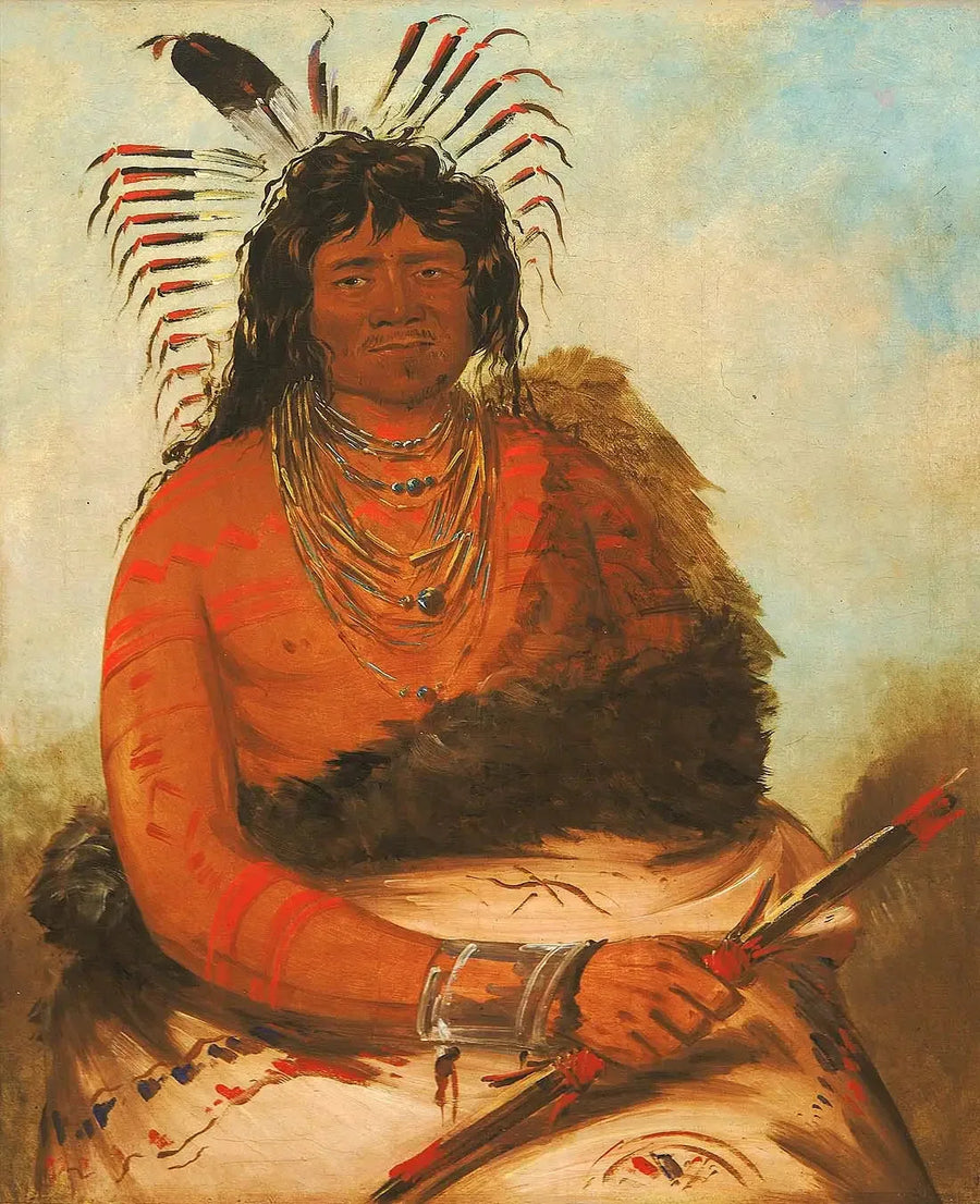 Háh-nee, il castoro, un guerriero - George Catlin
