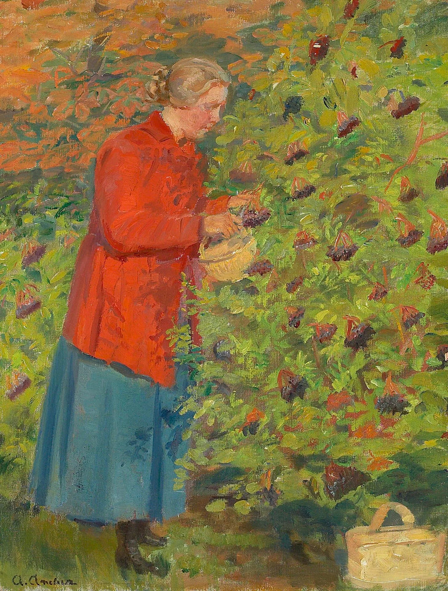 Helga Ancher raccoglie bacche di sambuco. - Anna Ancher