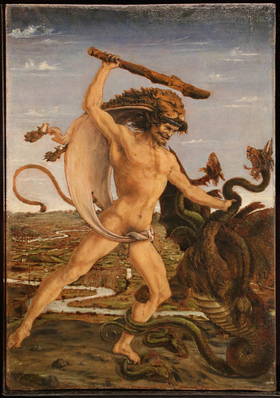 Hercule et l'Hydre - Antonio Pollaiuolo