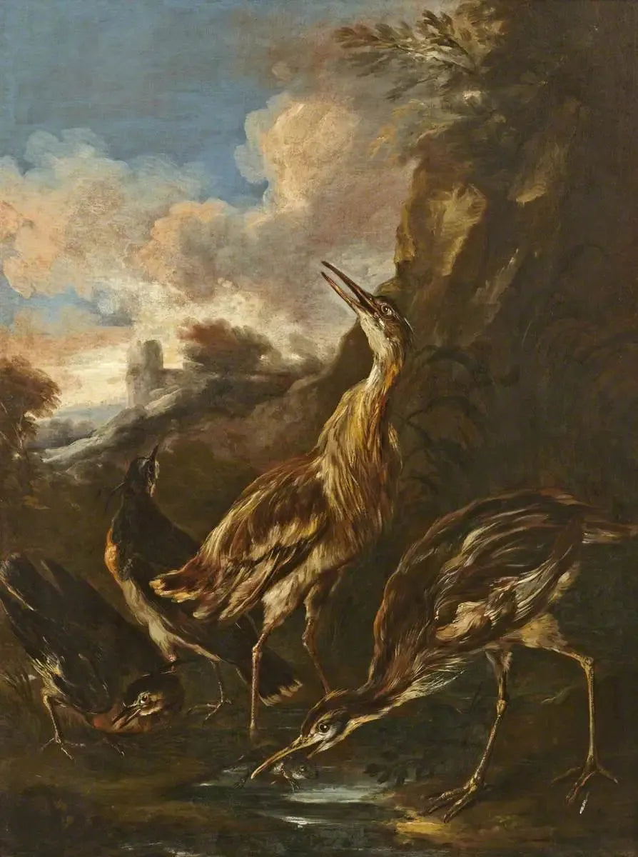 Aironi e beccacce - Melchior de Hondecoeter