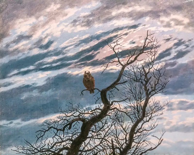 Gufo su un albero - Caspar David Friedrich
