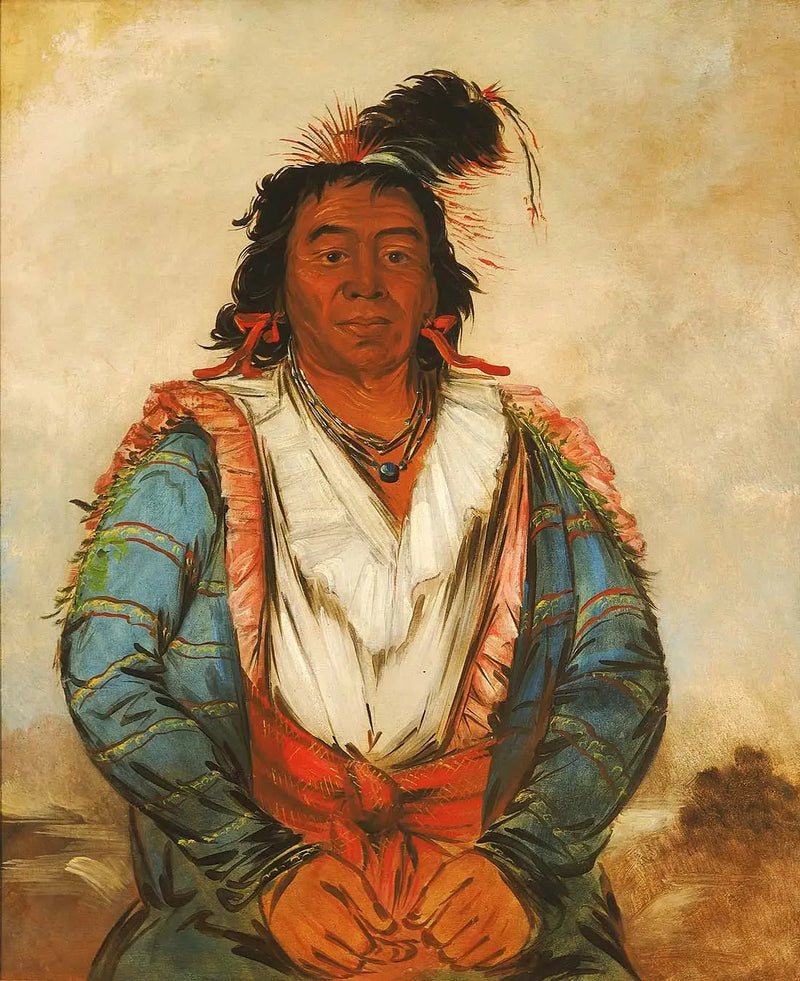 Hose-put-o-káw-gee, un coraggioso - George Catlin