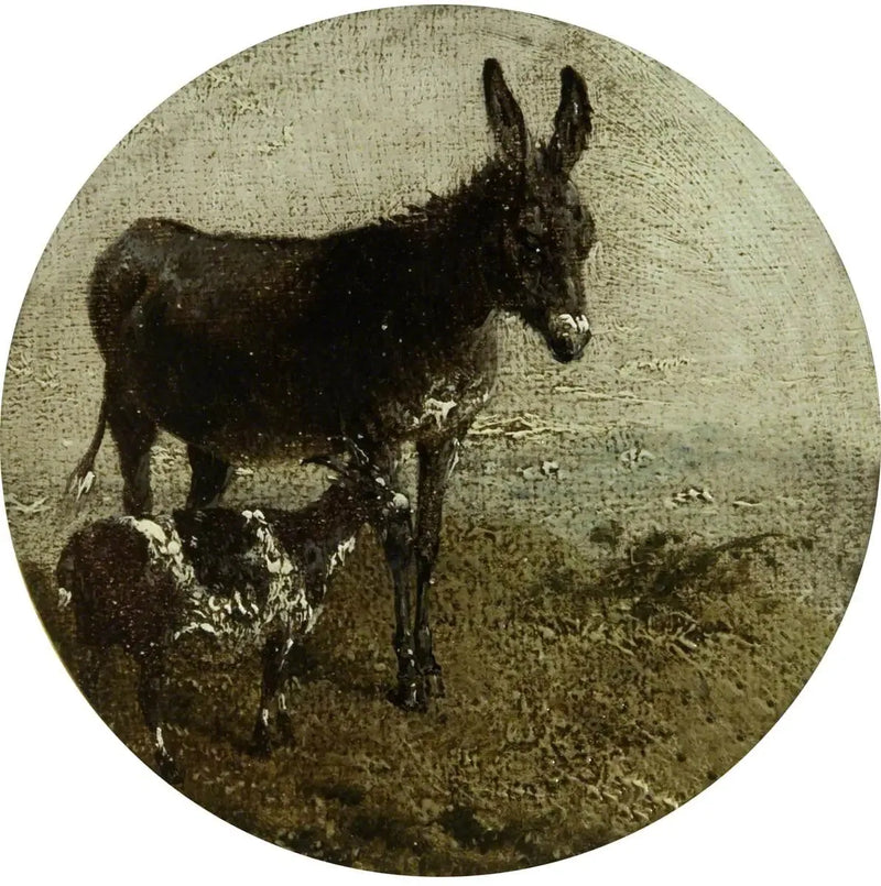 Otto scene di fattoria circolari: asino e capra - John Frederick Herring, Sr.