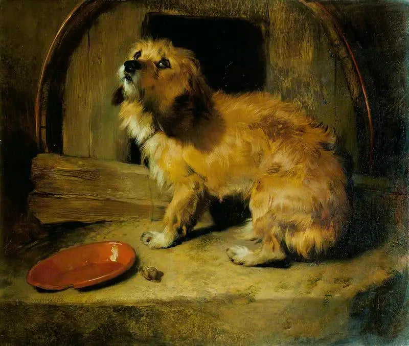 Non c'è posto come casa - Edwin Henry Landseer