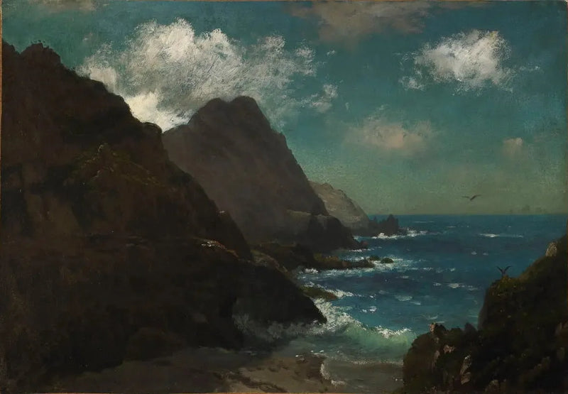 Isole Farallon - Albert Bierstadt