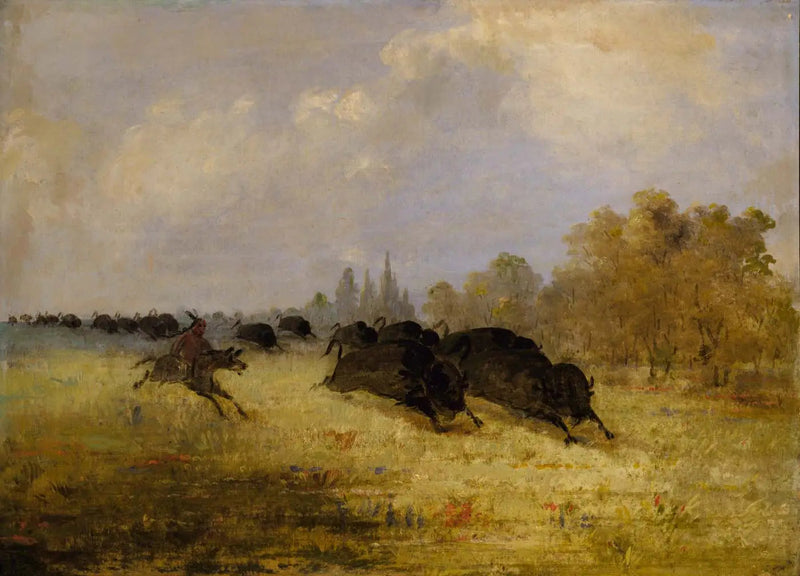 Indiani Caddo che cacciano il bisonte, Cross Timbers, Texas - George Catlin
