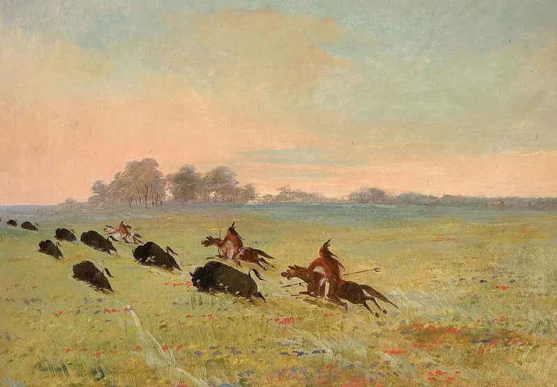 Indiani Comanche che cacciano il bisonte - George Catlin