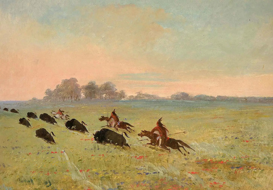 Indiani Comanche che cacciano il bisonte - George Catlin