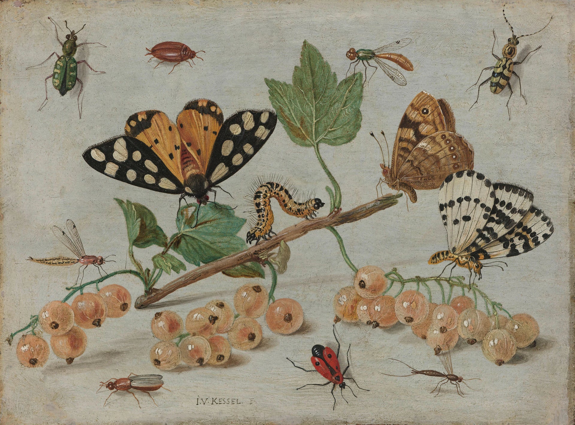 Insectes et fruits - Jan van Kessel
