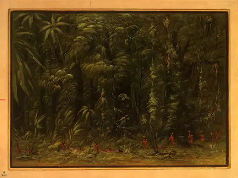 Interno di una foresta amazzonica - Zurumati - George Catlin
