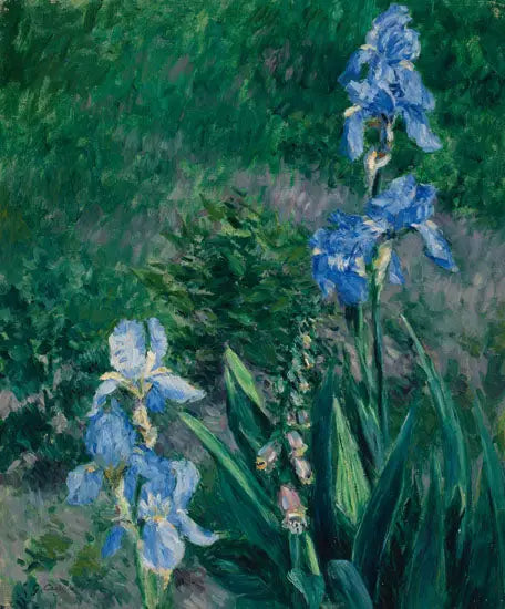 Iris blu, giardino del Petit Gennevilliers - Gustave Caillebotte