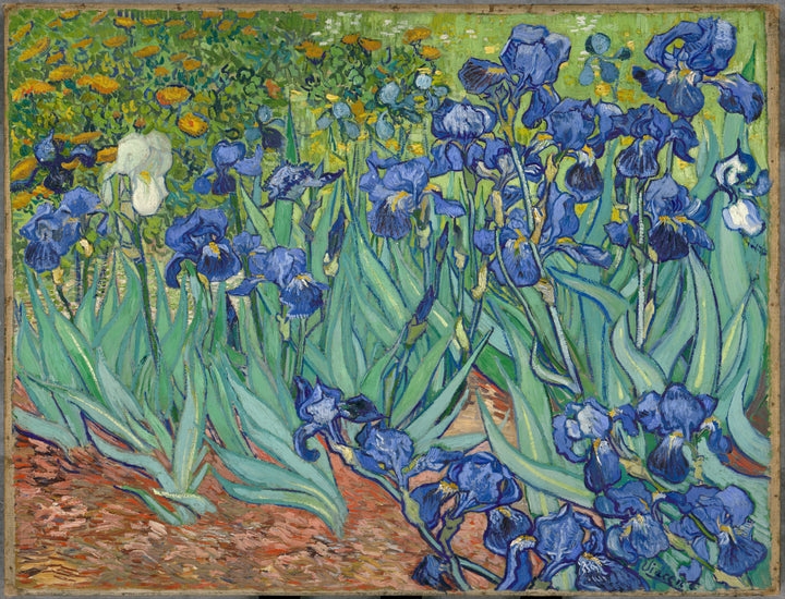 Iris, F608 - Vincent van Gogh