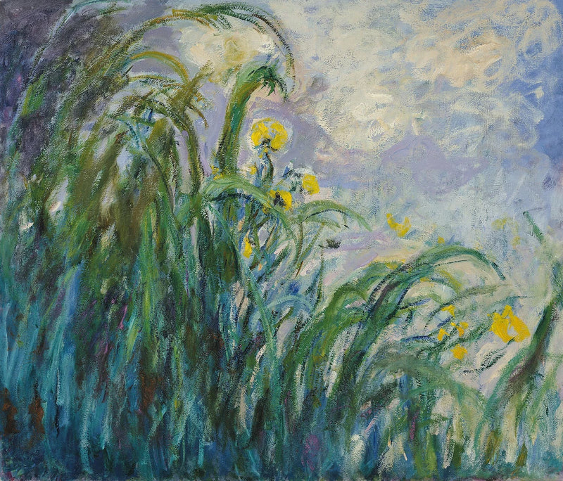 Gli iris gialli - Claude Monet