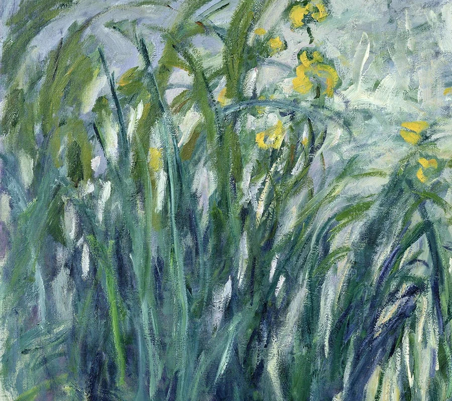 Détail des iris jaunes et du feuillage dans Iris jaunes et mauves