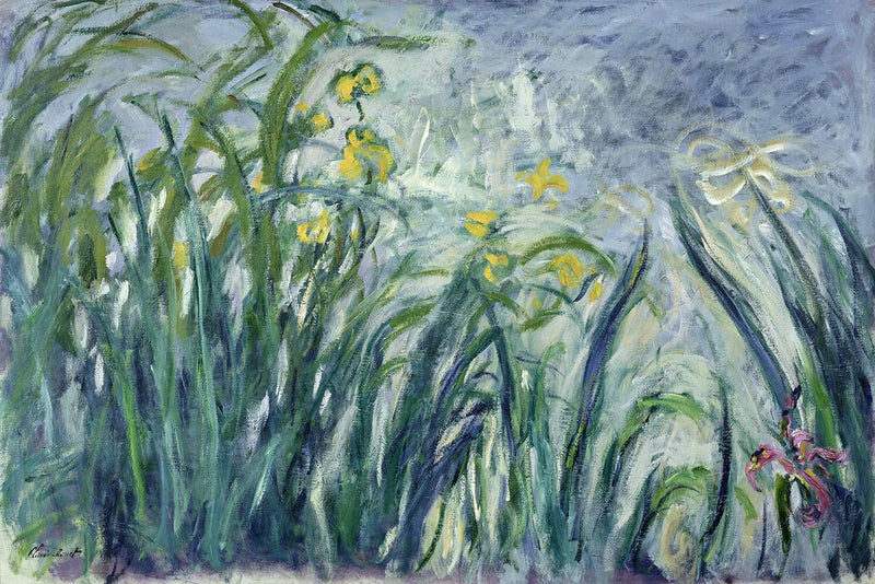 Giallo e iris viola - Claude Monet