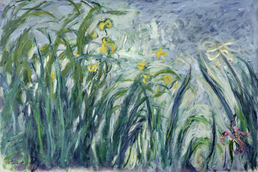 Iris gialli e viola - Claude Monet