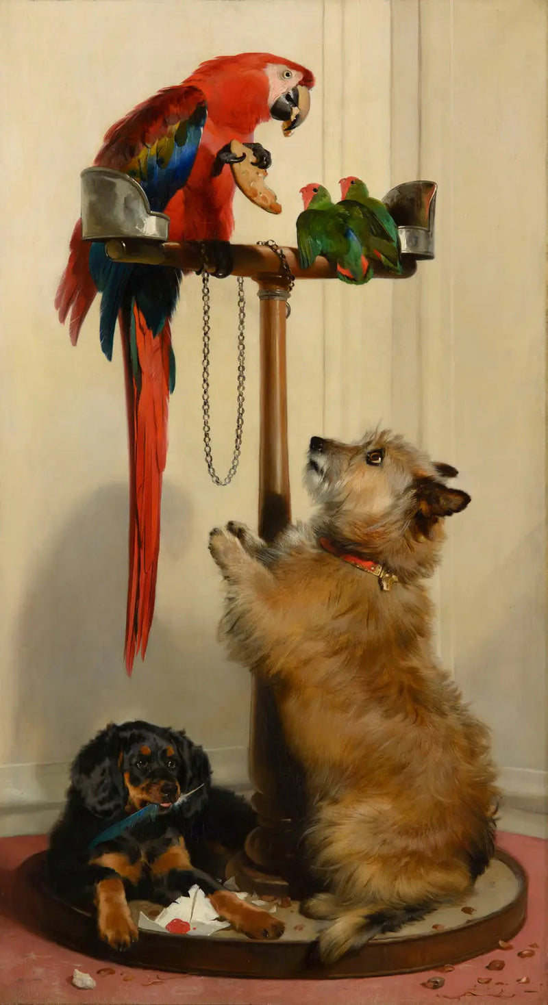 Islay, Tilco, un pappagallo e due inseparabili - Edwin Henry Landseer