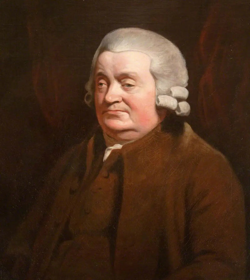 James Johnston (1721–1797), chirurgo, prévôt di Dundee (1790–1791) - Henry Raeburn