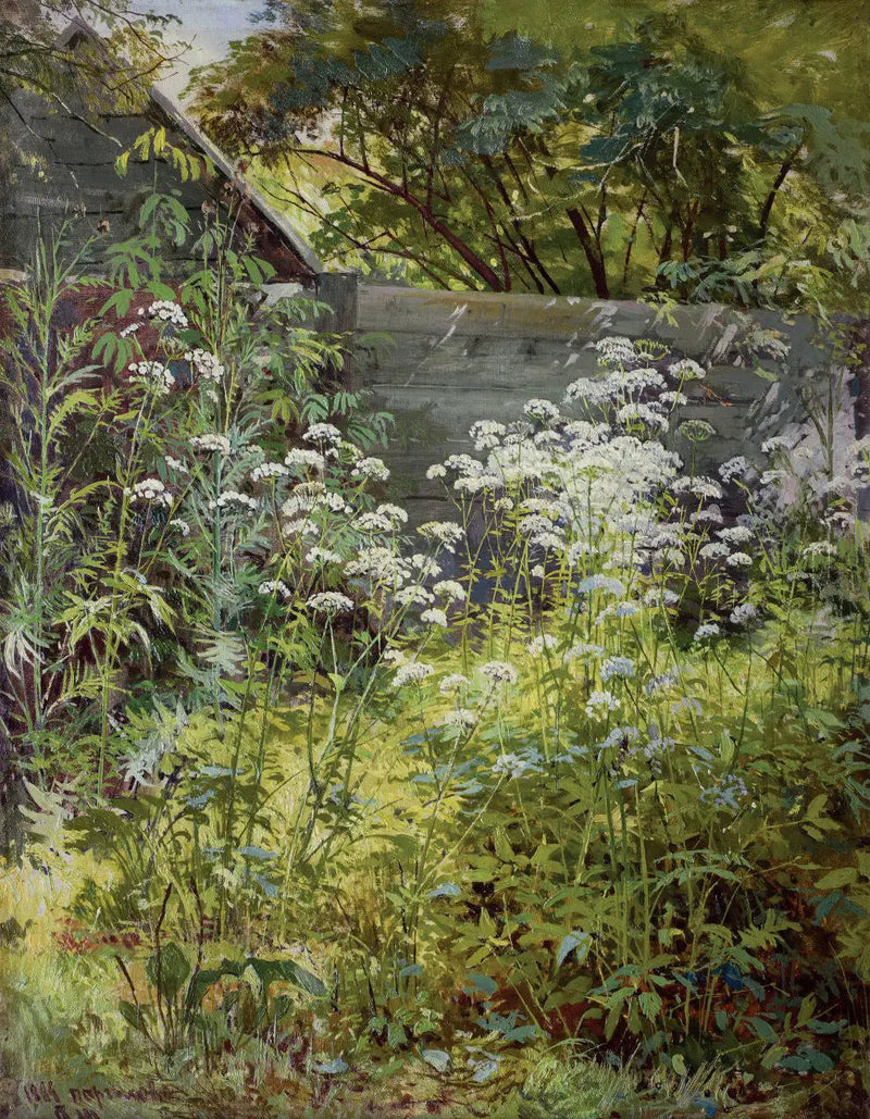 Giardino ad angolo invaso dalla vegetazione. Aegopodium - Ivan Chichkine