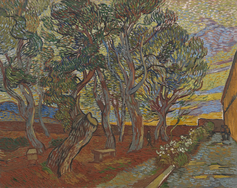 Giardino dell'Asilo - Vincent van Gogh