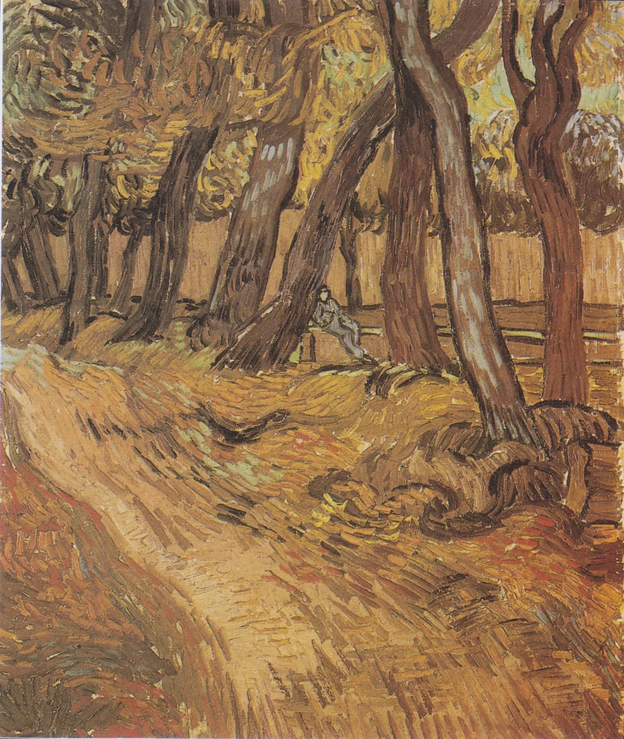 Giardino dell'ospedale Saint-Paul con Figura, Il - Vincent van Gogh
