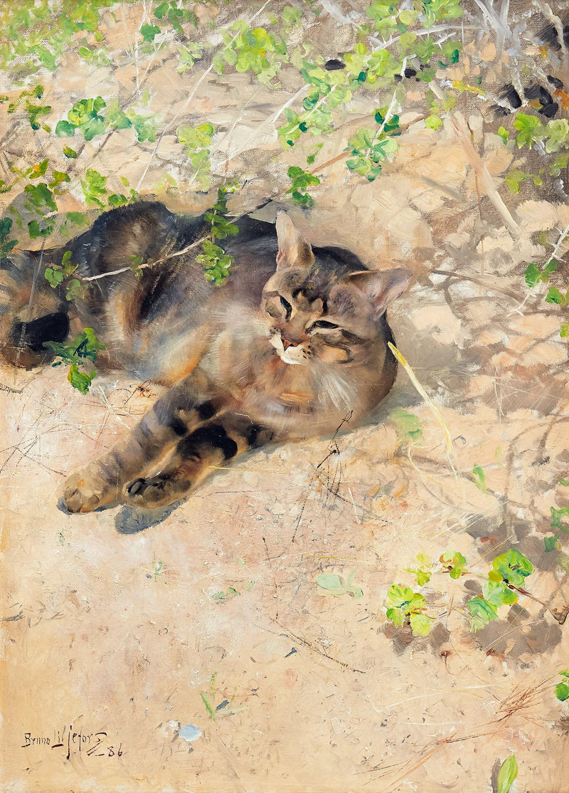 Il gatto Jeppe al sole primaverile - Bruno Liljefors