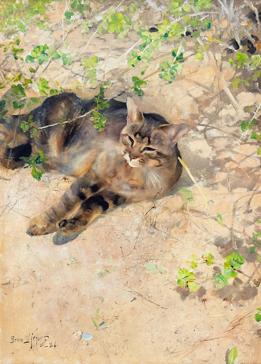 Il gatto Jeppe al sole primaverile - Bruno Liljefors