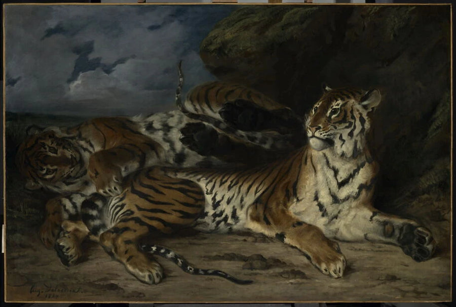 Jeune Tigre jouant avec sa mère, dit aussi Étude de deux tigres - Eugène Delacroix