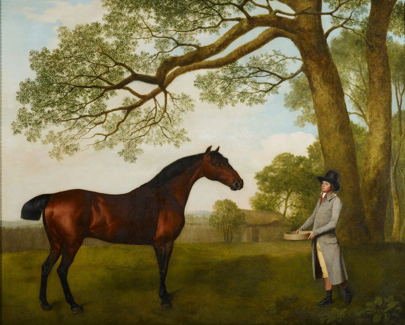 John Gascoigne con un cavallo baio - George Stubbs