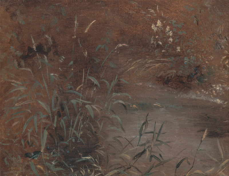 Giunchi sul bordo di una piscina - John Constable