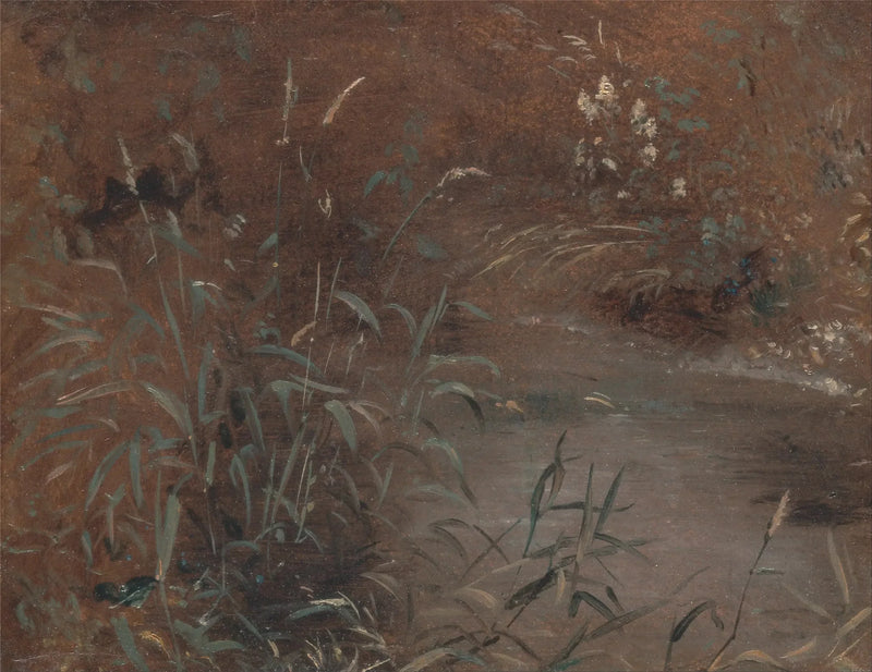 Giunchi sul bordo di una piscina - John Constable