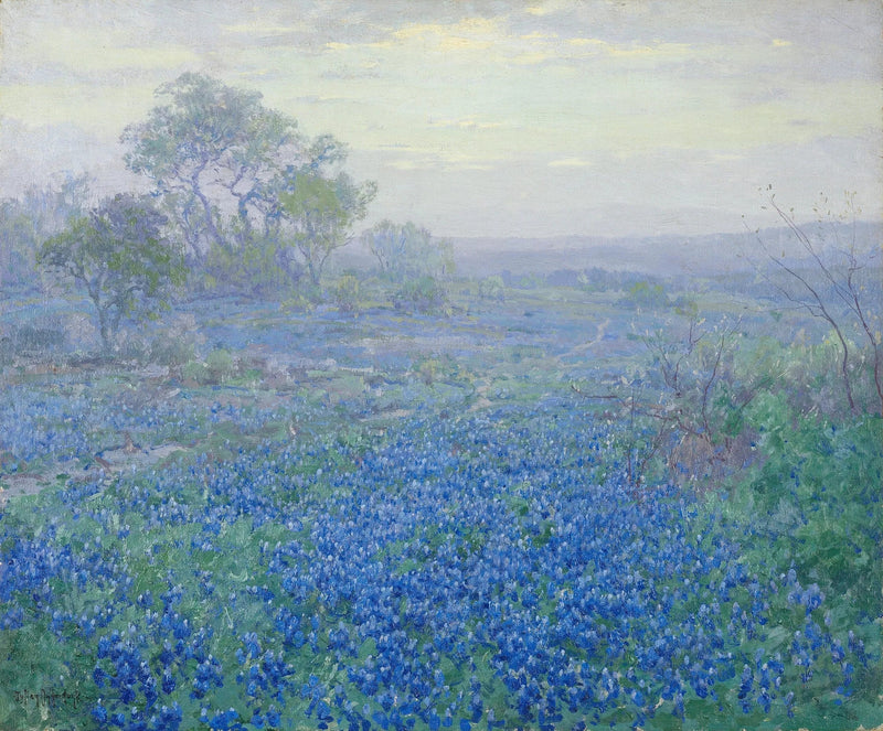 Giornata nuvolosa, lupini blu vicino a San Antonio, Texas - Julian Onderdonk