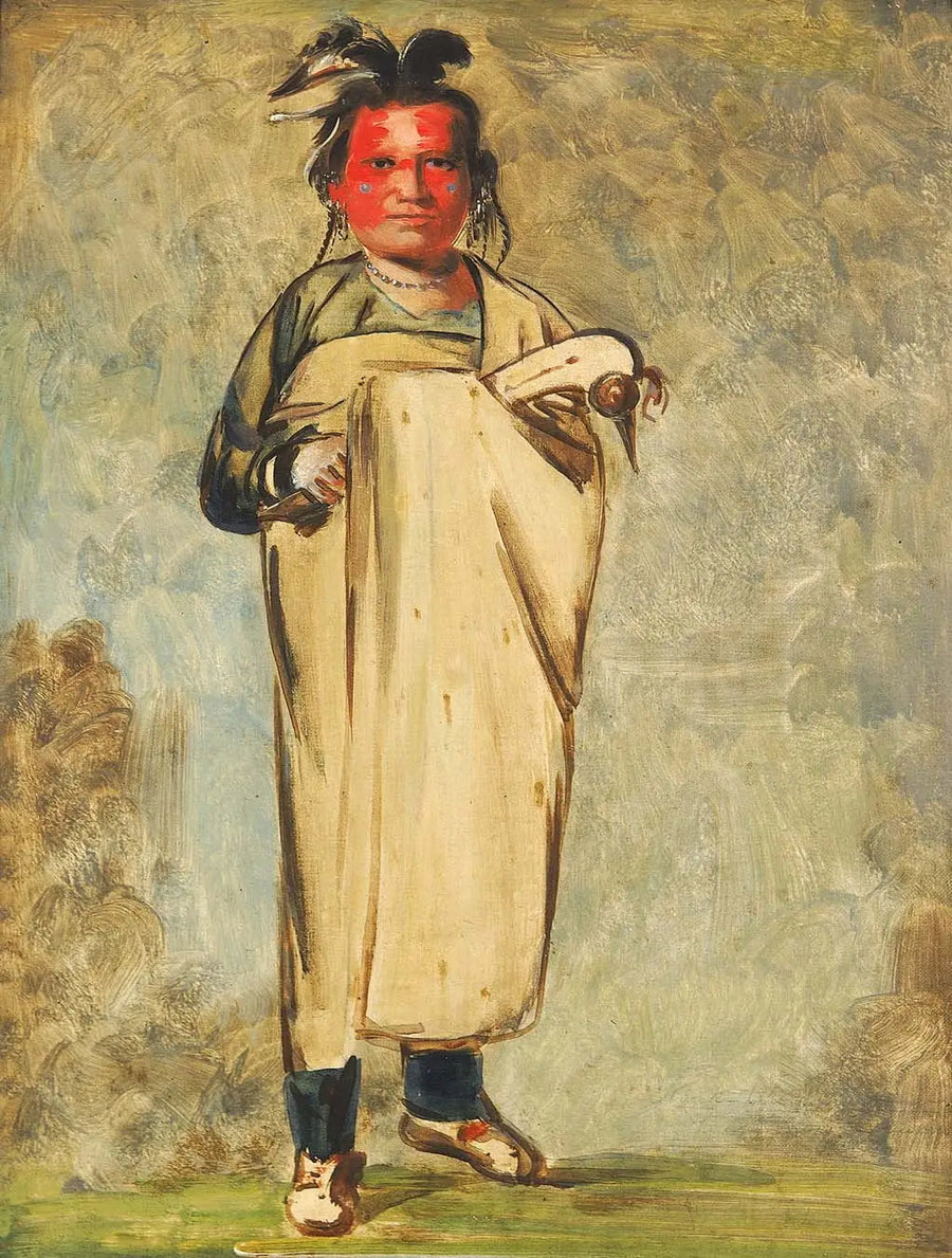 Káw-kaw-ne-chóo-a, un coraggioso - George Catlin