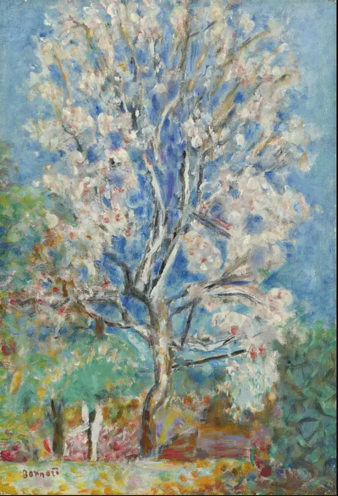 Il Mandorlo in fiore - Pierre Bonnard