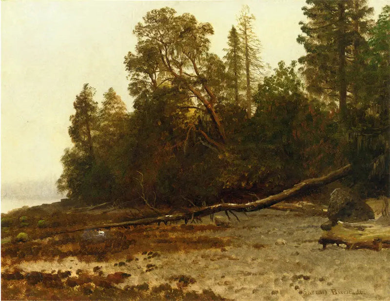 L'albero caduto - Albert Bierstadt
