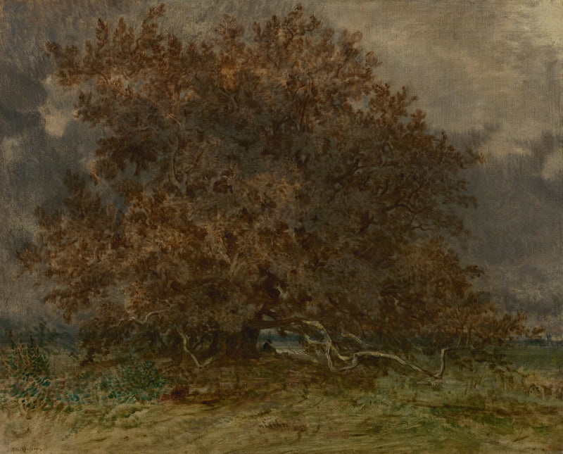 L'albero contorto al crocevia delle spine - Théodore Rousseau