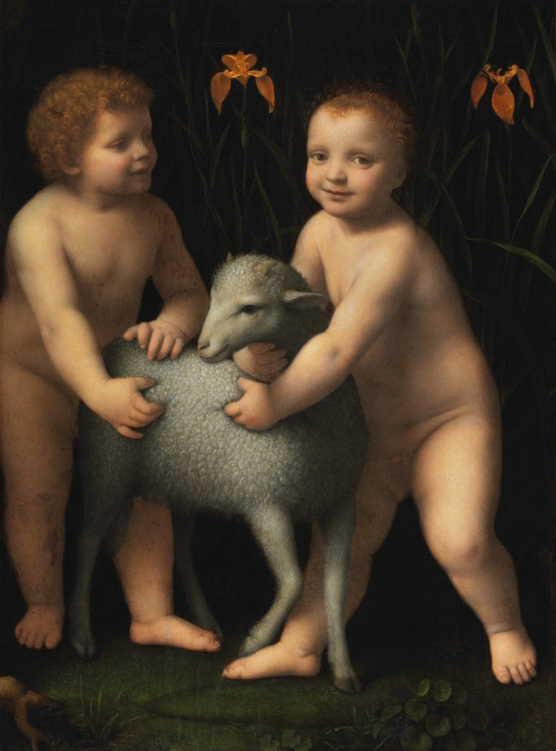 L'Enfant Jésus e il piccolo san Giovanni Battista con un agnello - Bernardino Luini