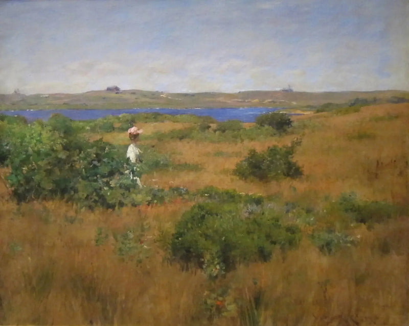 L'estate a Shinnecock Hills - William Merritt Chase