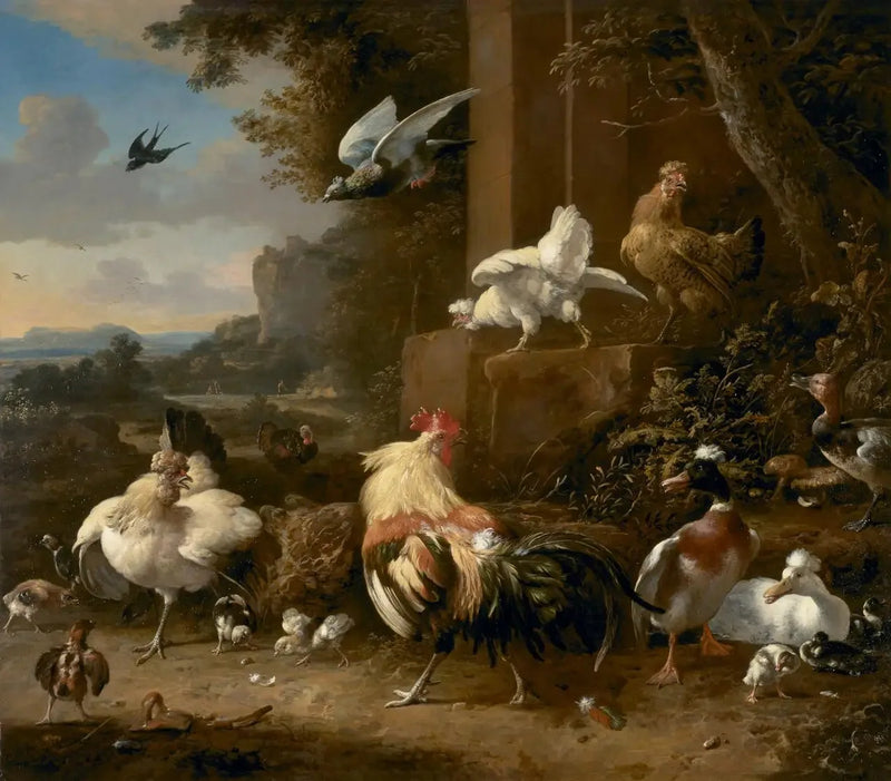 La corte - Melchior de Hondecoeter