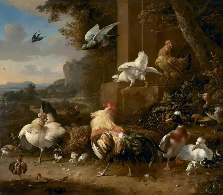 La corte - Melchior de Hondecoeter