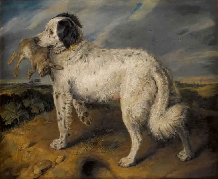 La Campionessa : Venere - Edwin Henry Landseer