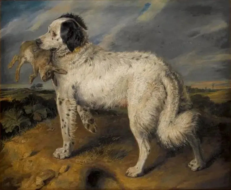 La Campionessa : Venere - Edwin Henry Landseer