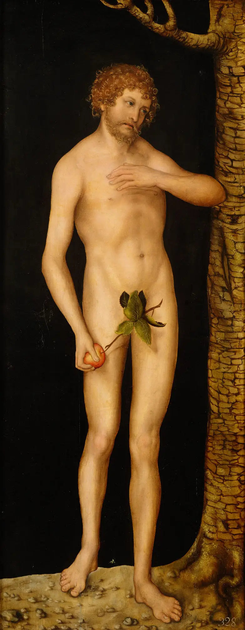 La caduta dell'uomo : Adam - Lucas Cranach il Vecchio