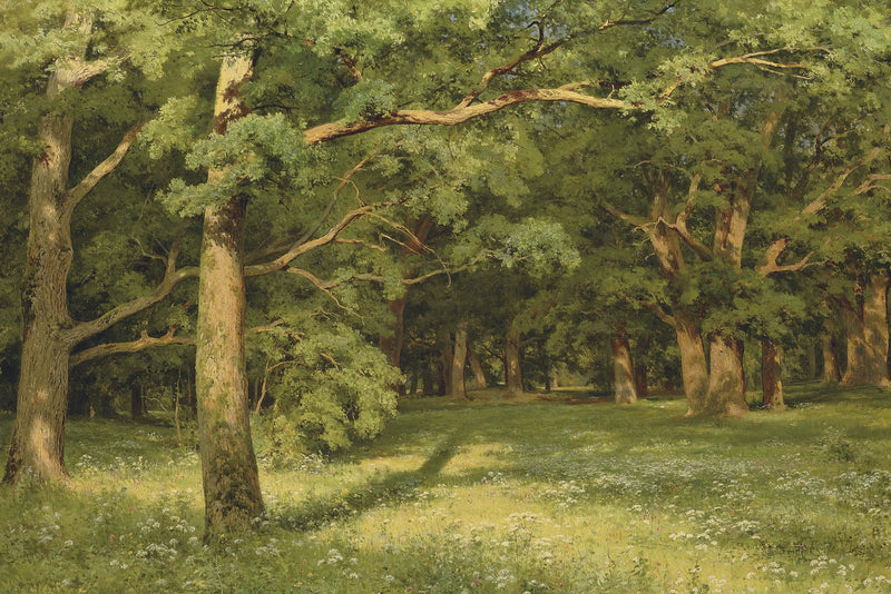 La clairière della foresta - Ivan Chichkine
